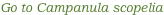 shapeimage_2_link_0
