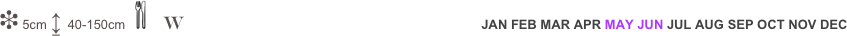 ❉5cm ↨ 40-150cm￼ W                                                   JAN FEB MAR APR MAY JUN JUL AUG SEP OCT NOV DEC