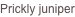 shapeimage_2_link_1