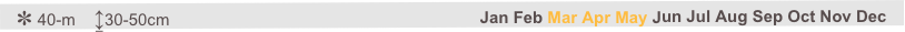 ✽ 40-m    ↨30-50cm                                                                   Jan Feb Mar Apr May Jun Jul Aug Sep Oct Nov Dec