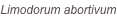 shapeimage_1_link_0