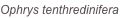 shapeimage_1_link_0