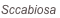 shapeimage_1_link_0