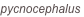 shapeimage_2_link_1