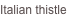 shapeimage_2_link_2