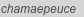 shapeimage_2_link_1