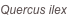 shapeimage_1_link_0