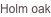 shapeimage_1_link_1