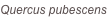 shapeimage_2_link_0